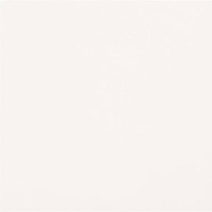 Casalgrande Padana Unicolore Technic Bianco Assoluto Levigato 8,5mm Керамогранит 40x40 см, Италия, ничего - фото 1